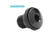 Mounting bolt - rear derailleur hanger bolt / screw