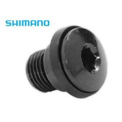 Mounting bolt - rear derailleur hanger bolt / screw