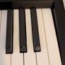 Roland FP-10 Digital Piano Image 7