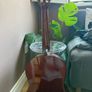 Beginner Valencia Classical Acoustic Guitar + Gig Bag Image 6