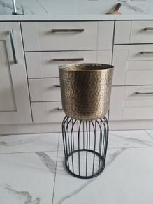 plant Pot