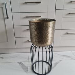 plant Pot