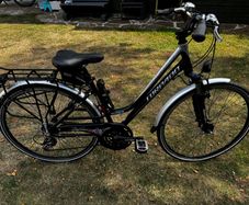 Torpado Zone (Ladies) Bike