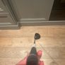 Ping g440 max driver Image 3