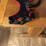 Dog harness Image 2
