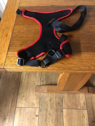 Dog harness