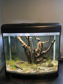 fish tank