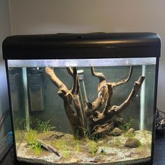 fish tank