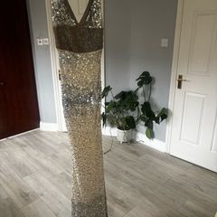 Rachel Gilbert silk sequin Dress