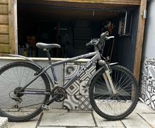Raleigh mountain bike