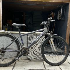 Raleigh mountain bike