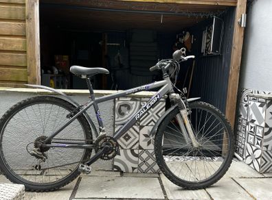 Raleigh mountain bike