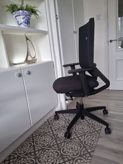 Ergonomic Office Chair