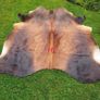 Cow's hide Image 2