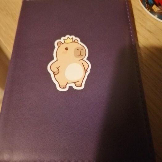 passport covers