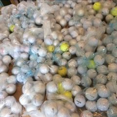 Golf Balls 50