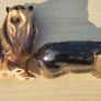 Pair Of Vintage Coopercraft Yorkshire Terrier Image 7