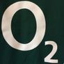 Ireland Rugby Jersey. Grand Slam Winning Jersey 2009. Official Canterbury Mens Home Jersey. Authentic Original From 2009. Not A Modern Day Remake. Image 9