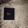 Brand New Waterford Crystal Lismore 8x10 Frame - In Box Image 4