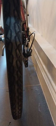 bicycle newport