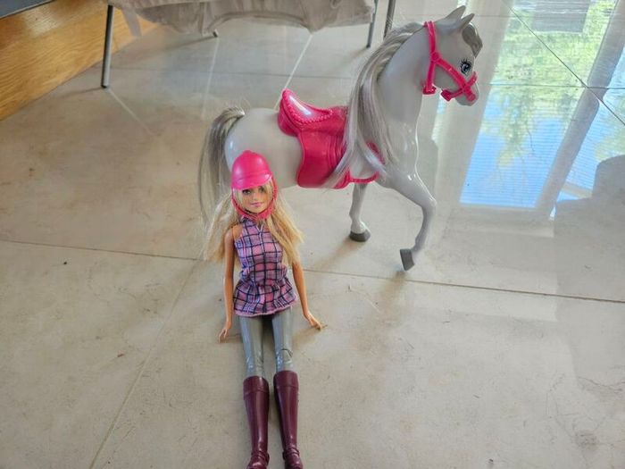 Barbie Doll & Horse