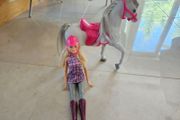 Barbie Doll &amp; Horse