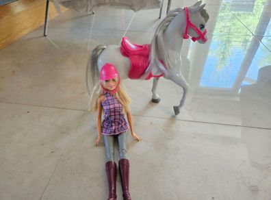 Barbie Doll & Horse
