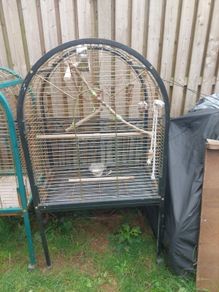 parrot cage