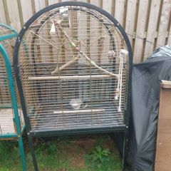 parrot cage