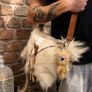 Handcrafted Goat Hide Bag Unusual Image 3