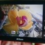 Nikon Coolpix S60-10 MP-Compact Digital Camera JAPAN-Charger-Tested Image 8