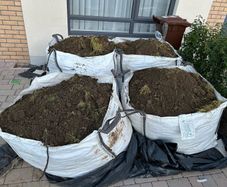 Free Top Soil