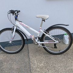 Raleigh girls bike
