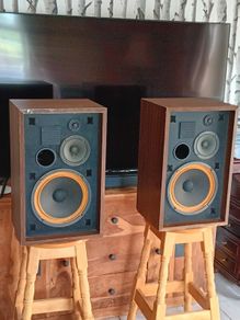 AKAI SW 125 Vintage speakers