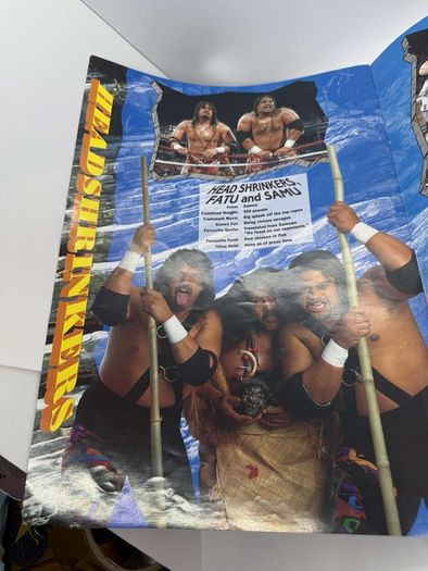 Wwe WWF European spring Tour 1993 Official souvenir Programme