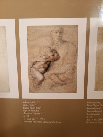 Michelangelo Prints