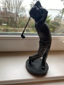 Genesis Bronze -Golfer Swing