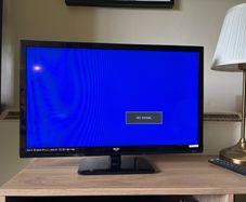 Bush television