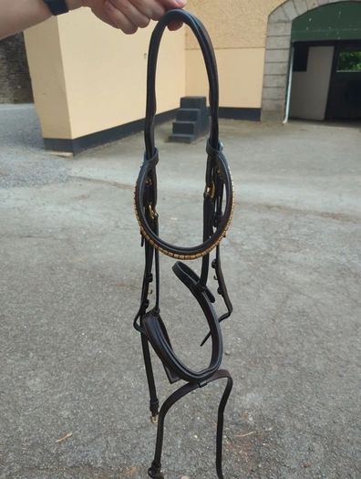 Bridle