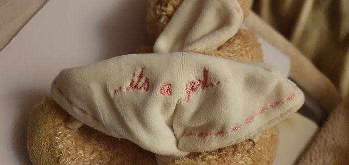 An Adorable Mother Care "Its a Girl" Teddy