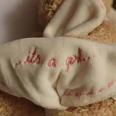 An Adorable Mother Care "Its a Girl" Teddy