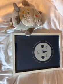 Nursery Print and Ollie the Owl