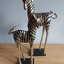 Mindy Browne Zebra Ornaments Image 3