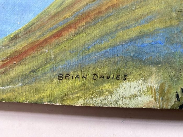 picture This piece depicts a railway line sweeping around a coastal bay beneath a footbridge and hillsides, signed Brian Davies in the lower left corner.