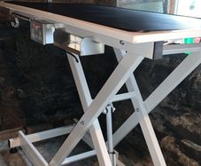 New electric lift Dog grooming table