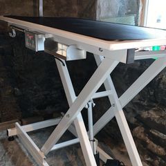New electric lift Dog grooming table