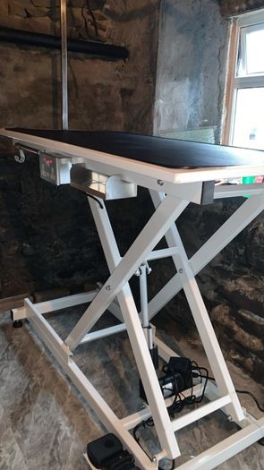 New electric lift Dog grooming table