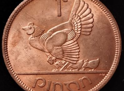 Ireland - 1966 - Penny - KM.11 - [812]