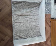 dog bed