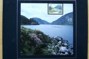 1988/89 Ireland The Irish Stamp Limited Edition Hardback Year Book. Contains all commemorative stamps from June 1988 to June 1989. Included 44 images of conents